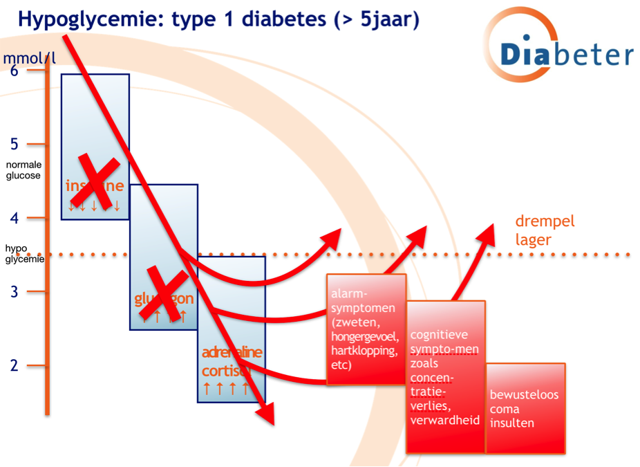 Hypoglycemie: type 1 diabetes (> 5 jaar)