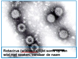 Rotavirus wiel met spaken
