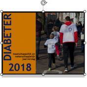 jaarbericht Diabeter 2018 