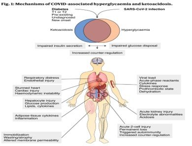 COVID-19 en diabetes: oorzaak en gevolg?